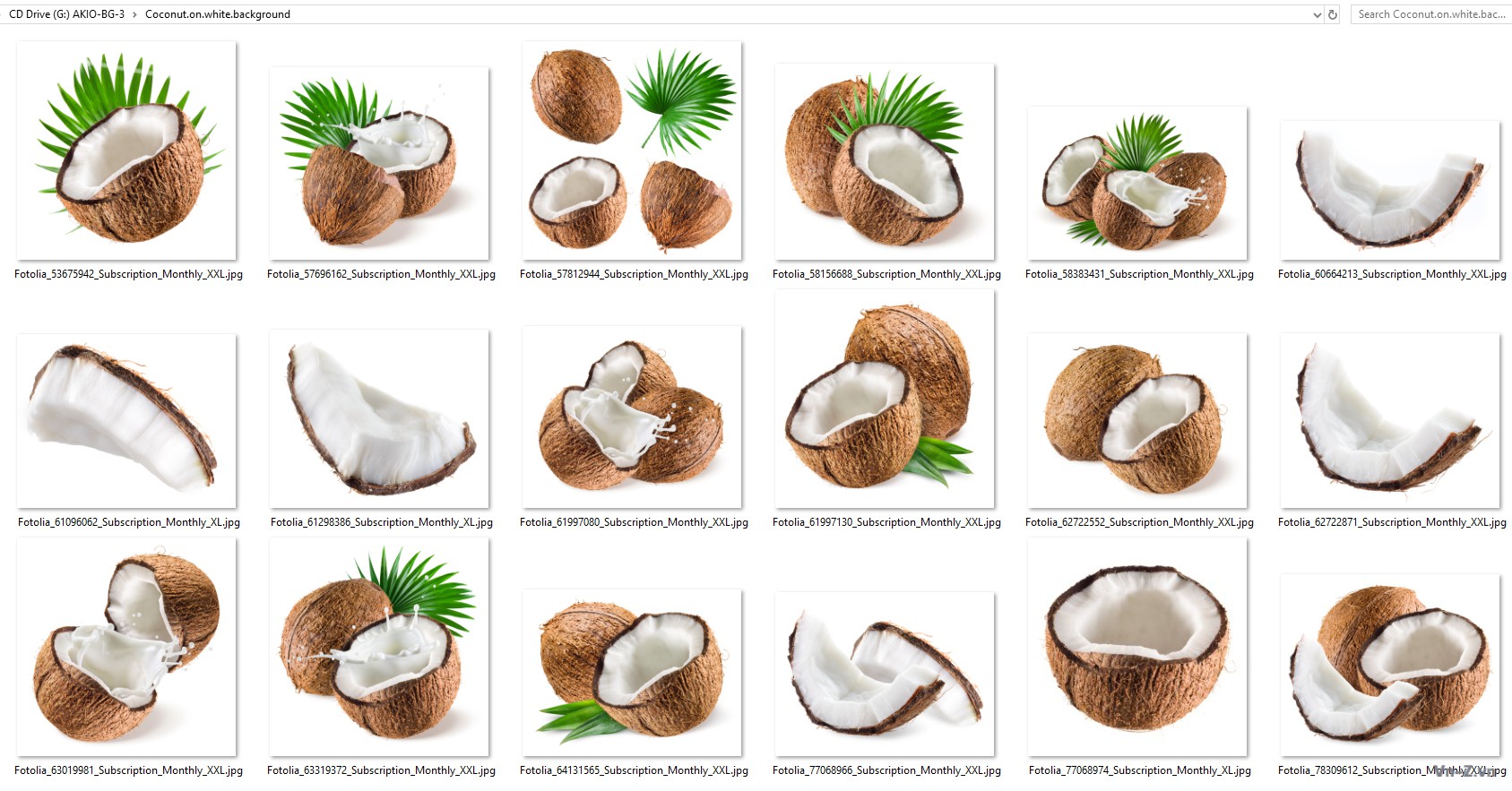 060-Coconut.on.white.background.jpg