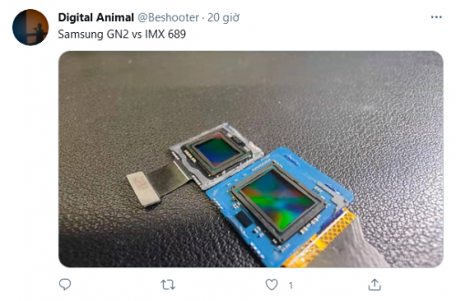 Screenshot_2021-03-25-19-Digital-Animal--Beshooter-Twitter.png
