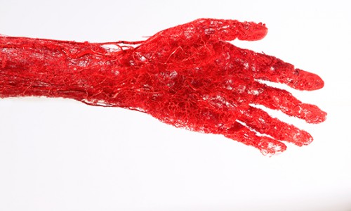 liquid-limbs-human-arteries-1.jpg