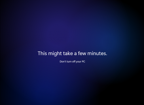 Hinh-anh-cai-dat-Windows-11.png