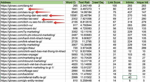 210688266_2000970113385878_9187381022428818265_n.jpg_nc_cat109ccb1-3_nc_sidb9115d_nc_ohcDoc4GUuLorYAX9j-R7s_nc_htscontent.fhan2-3.jpg