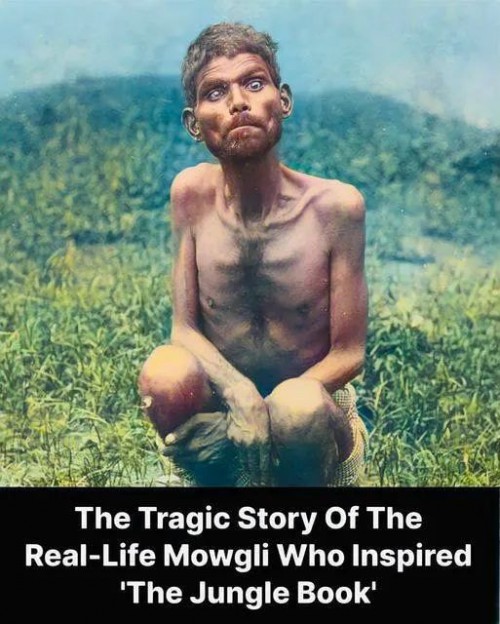 Mowgli-real-life.jpg