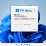 windows-11-all-in-one-102021-04