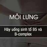 Mi-lung---ung-sinh-t-B5