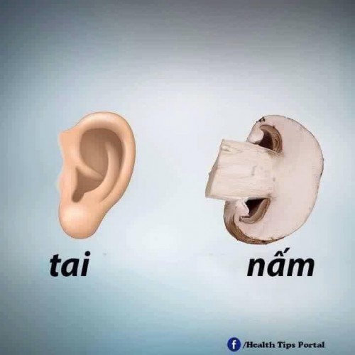 Nấm tốt cho tai
