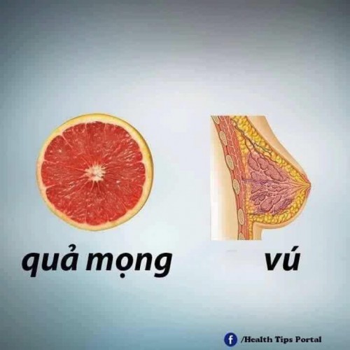 Qua-mng-cho-vu.jpg