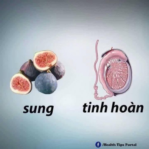 Sung-tt-cho-tinh-hoan.jpg