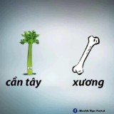 can-tay-cho-xuong