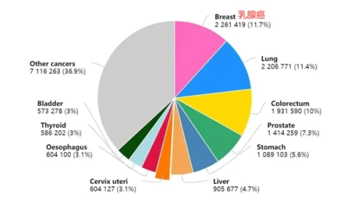 ung-thu-vu.webp