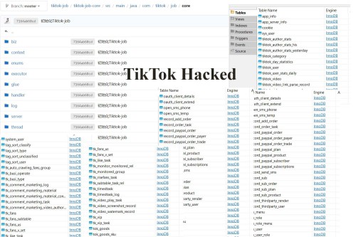 tiktok-hack.jpg