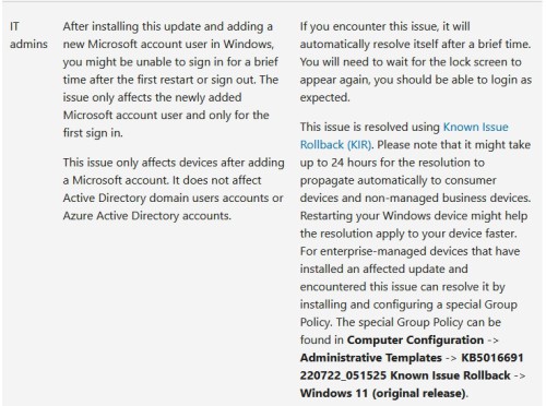 Windows-11-bug-login.jpg