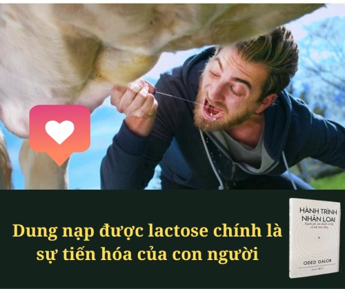 dung-nap-Lactose.jpg