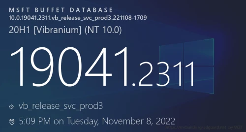 Windows 10 Build 19041.2311