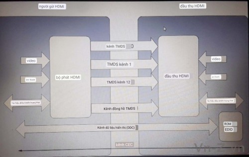 Nguyen-ly-HDM.jpg