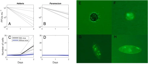 pnas.webp