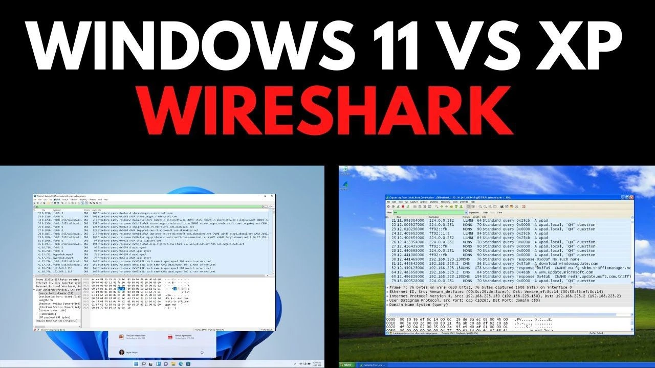 Windows11-Wireshark.webp