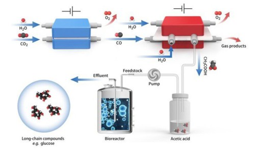 co2--glucose.jpg