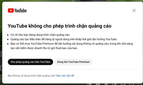 Youtube-chan-trinh-chan-quang-cao.jpg