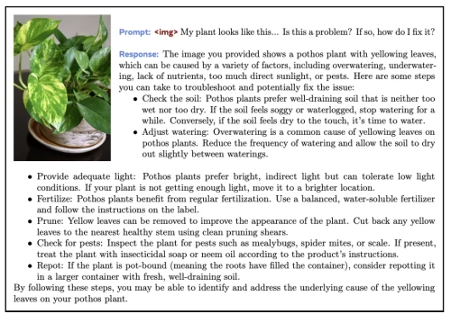 Chameleon-Meta-figure.webp