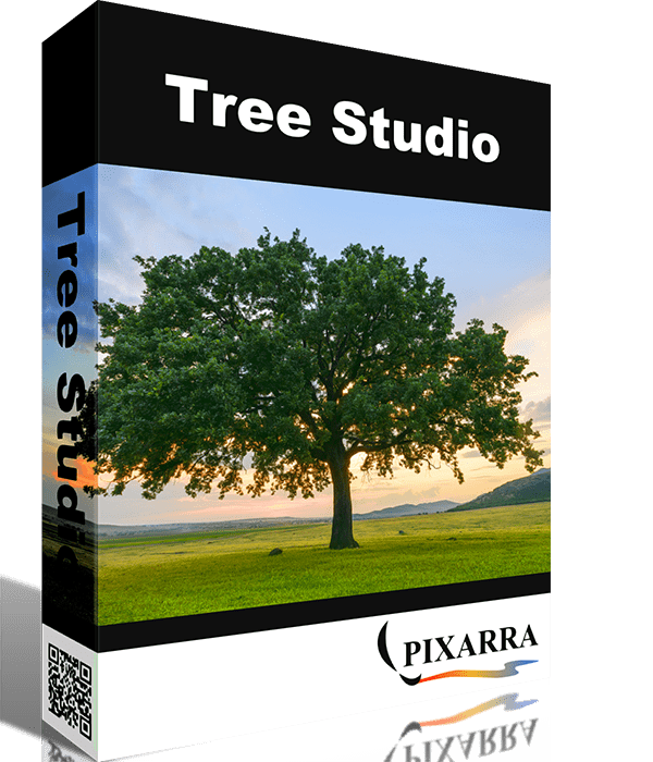 tree-studio-tr_10.png