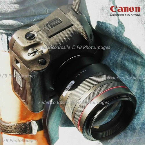 Canon EOS R1 bản sao 2