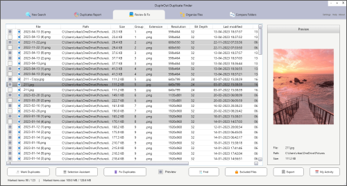 dupinout-duplicate-finder