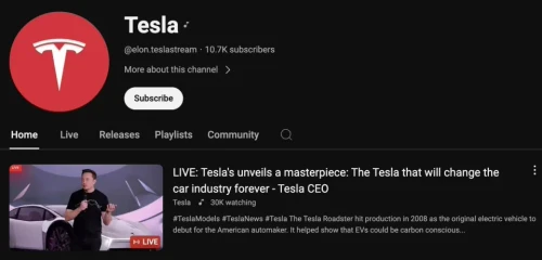 Deepfake-Tesla-CEO