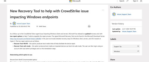 CrowdStrike WIndows fix