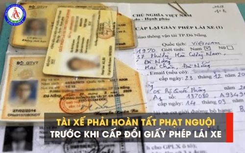 tai xe phai hoan tat phat nguoi truoc khi cap doi giay phep lai xe.png