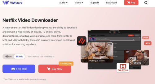 ViWizard-Netflix-Video-Downloader.jpg