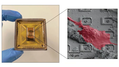 Harvard-develops-new-CMOS-chip-1.jpeg