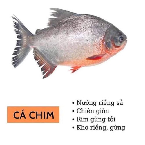 Ca-chim.jpg