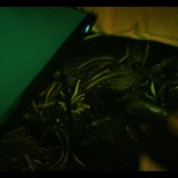A23