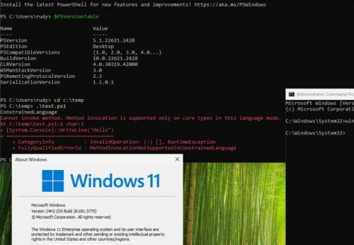 Windows-11-24h2-bug-2.webp
