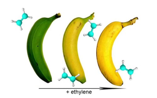 ethylen.jpg