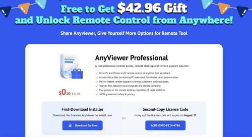 AnyViewer-Professional.jpg