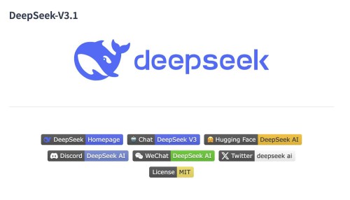 Deepseek-V3.1.jpg