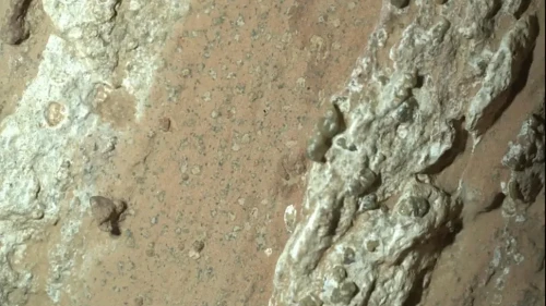 Mars-live.webp