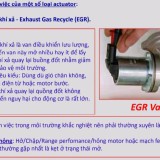 Actuator-EGR