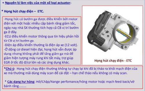 Actuator-ETC.jpg