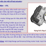 Actuator-ETC