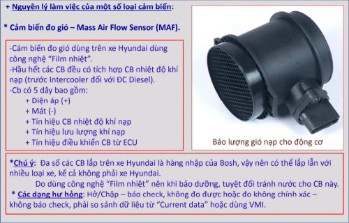 Cam-bien-do-gio-MAF.jpg