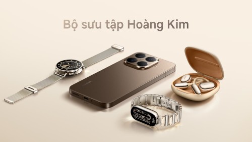 Gold-Collection.jpg