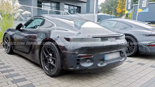 Cayman04.webp