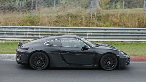 Cayman05.webp