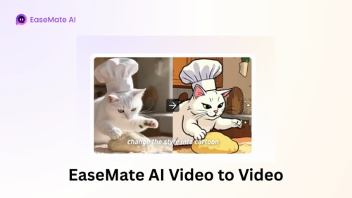 EaseMate-Video.jpg