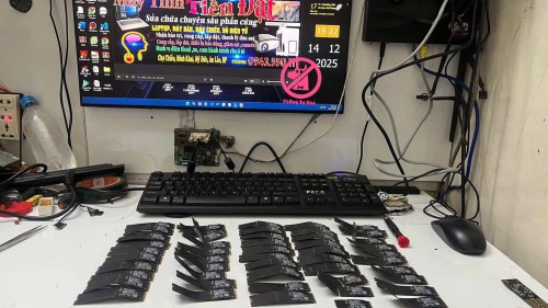 be-gay-ssd-21.jpg