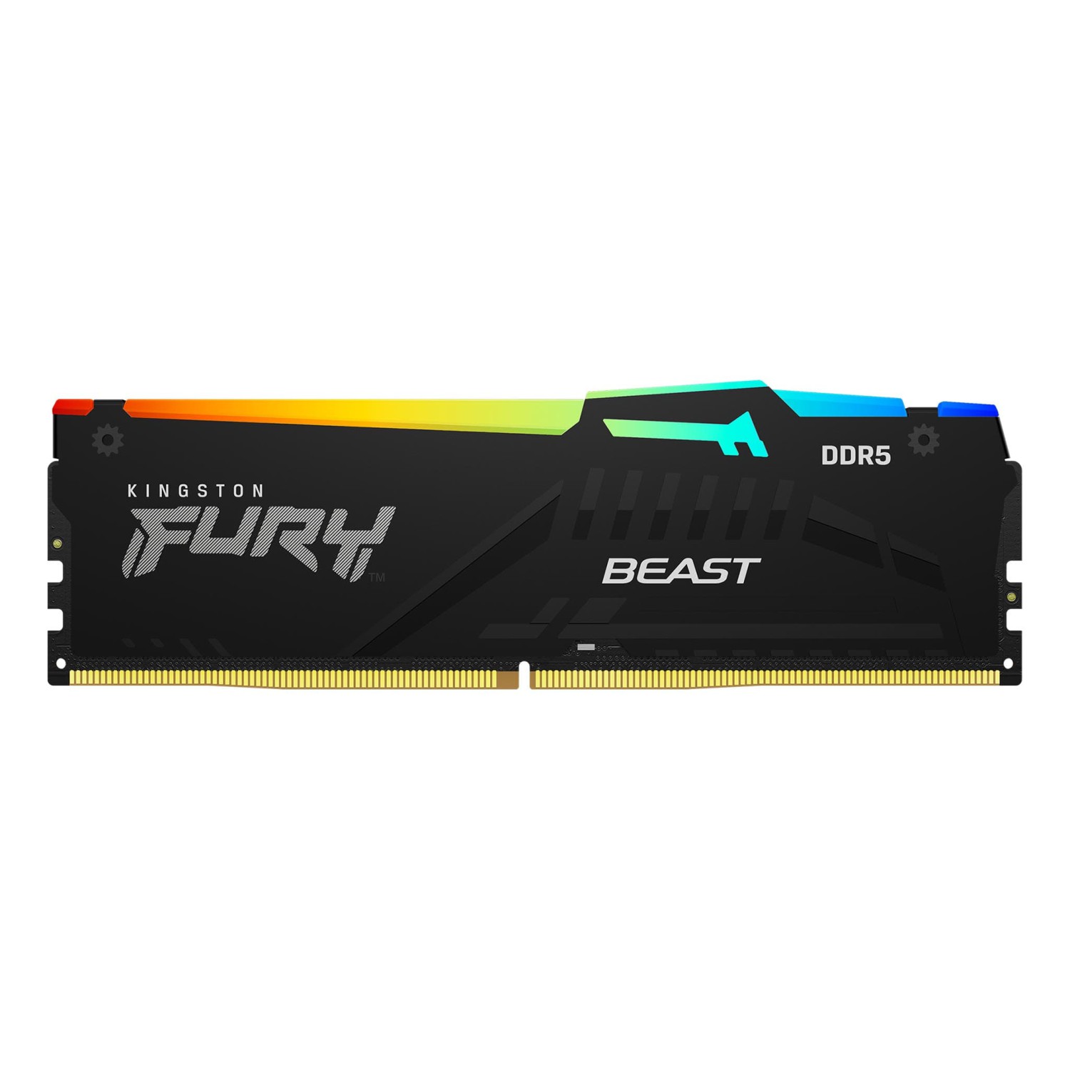 Kingston-FURY-Beast-DDR5-RGB1.jpg