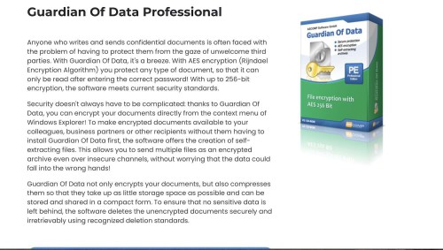 Guardian-Of-Data-Professional.jpg