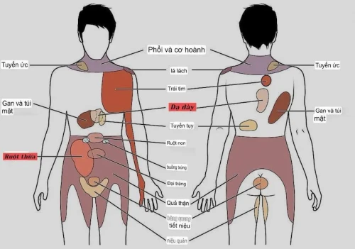 Dau-noi-tang-lien-quan-den-vung-ngoai.webp